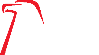 AMAG Technology
